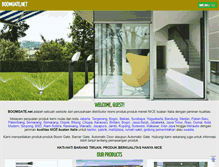 Tablet Screenshot of boomgate.net
